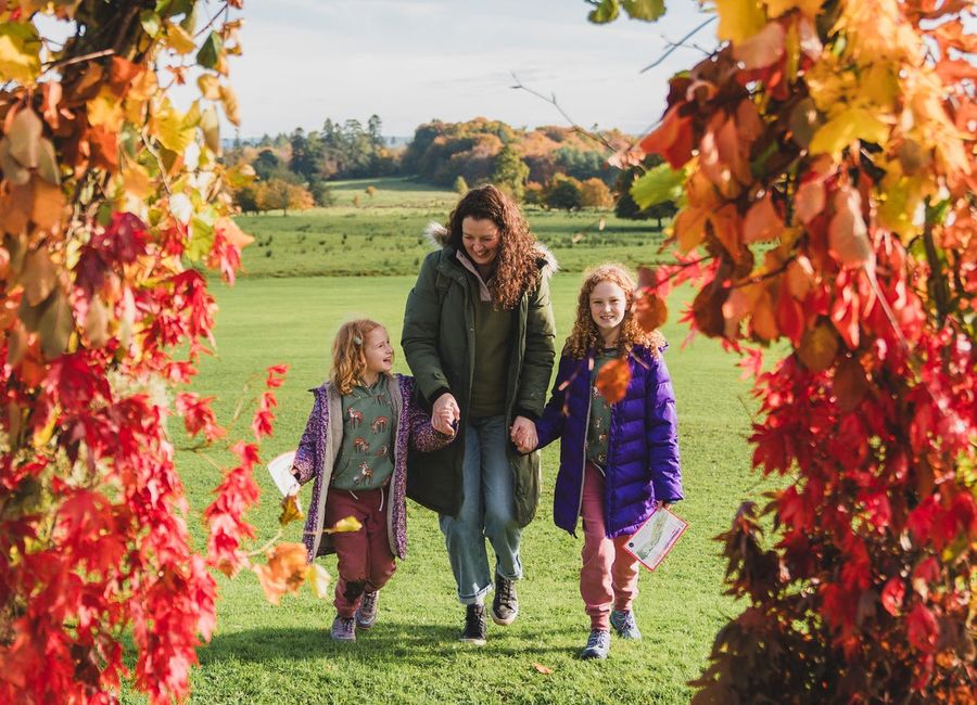 Harvest Fair at Florence Court