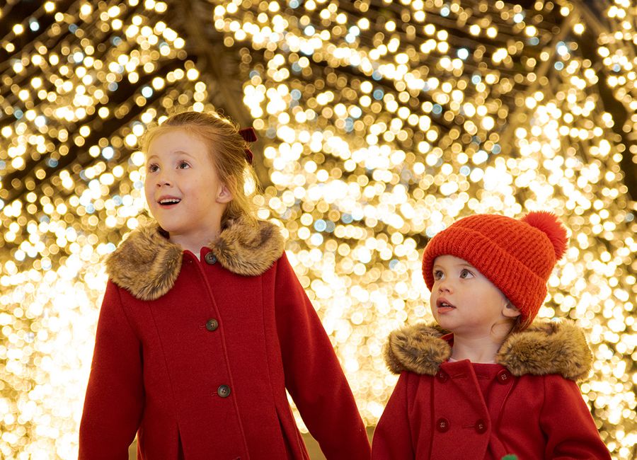 Jingle Fest Gingerbread & Hot Chocolate Experiences