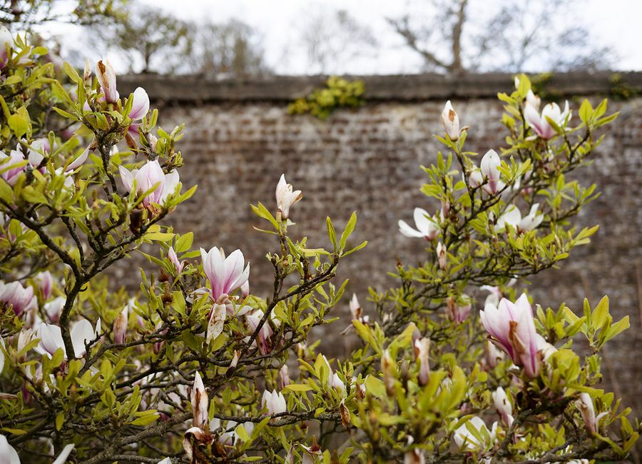 Killruddery Farm Shop & Café